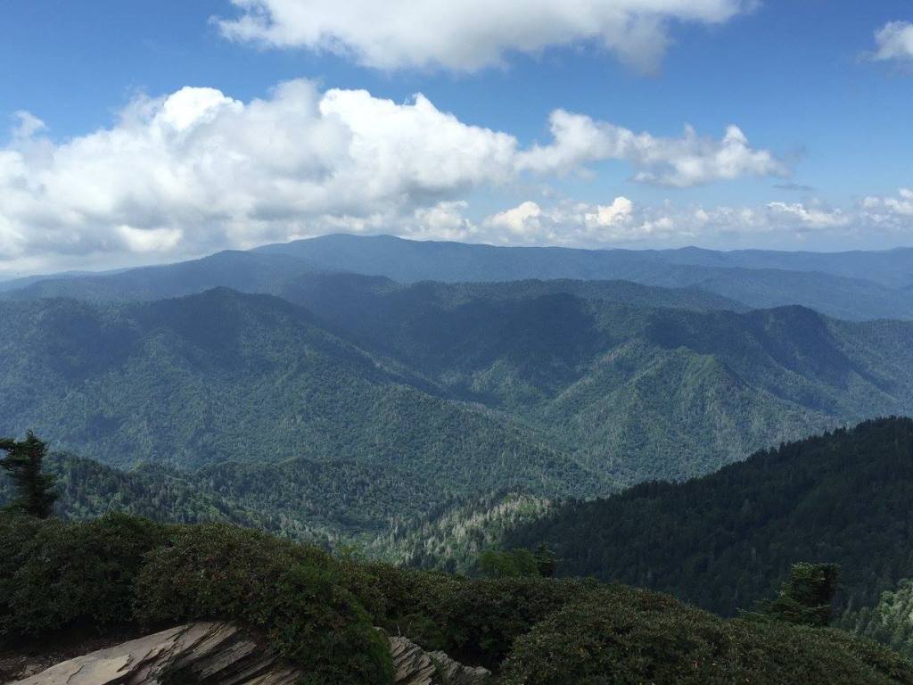 View from Mt. LeConte in the Great Smoky Mountains National Park